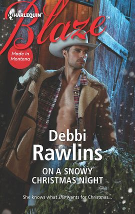 Title details for On a Snowy Christmas Night by Debbi Rawlins - Available